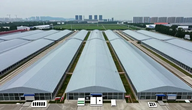 线上店铺运营选型关注点与物流效率优化